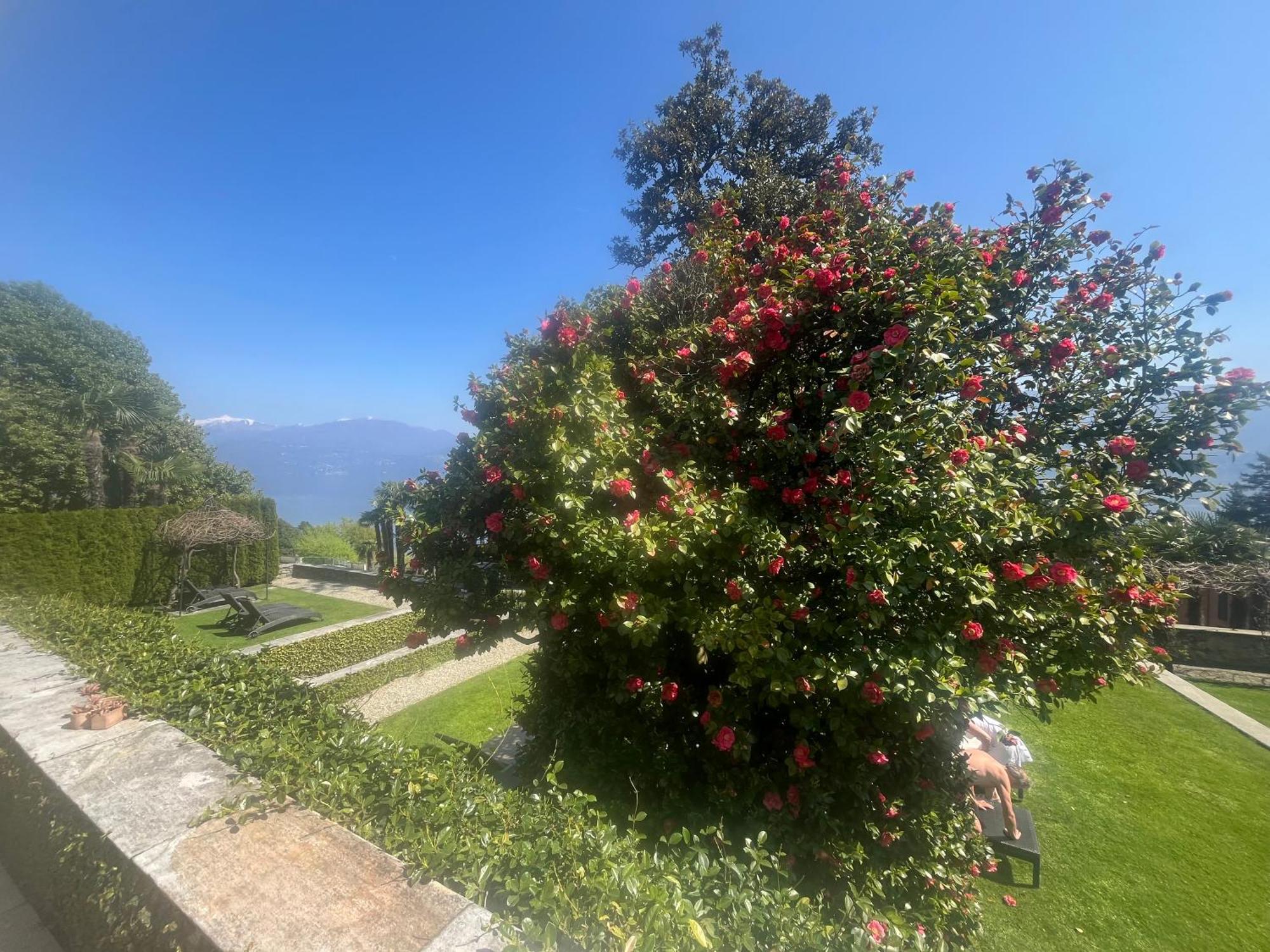 Relais Villa Margherita Oggebbio Εξωτερικό φωτογραφία